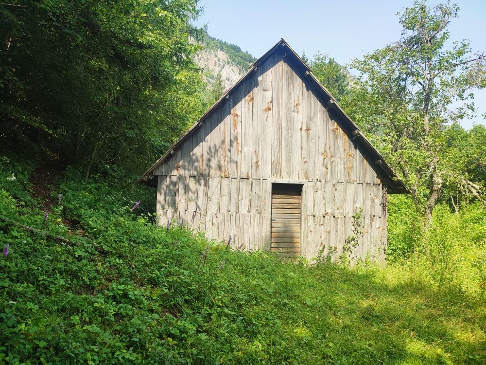 Земля в Мойковаце, Черногория, 2 Га - фото 11