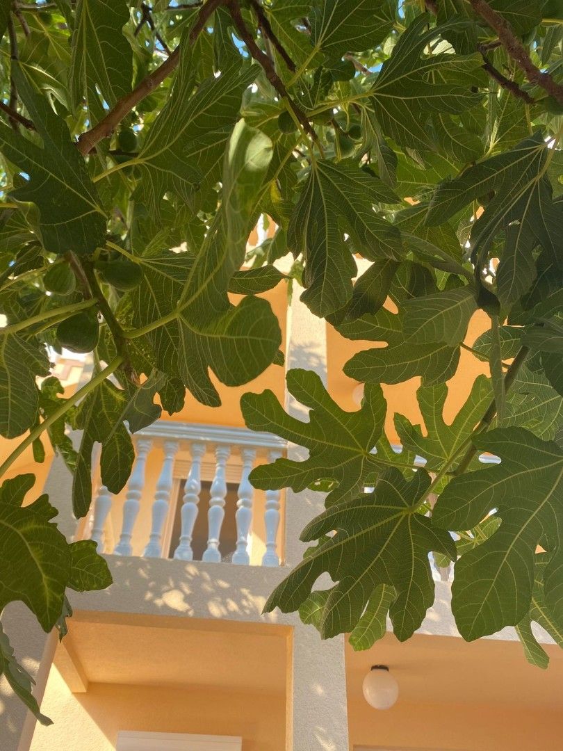 Дом в Добра Воде, Черногория, 180 м² - фото 5