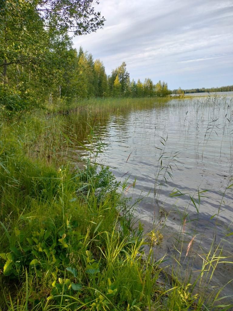 Земля в Рантасалми, Финляндия, 5 520 м² - фото 4