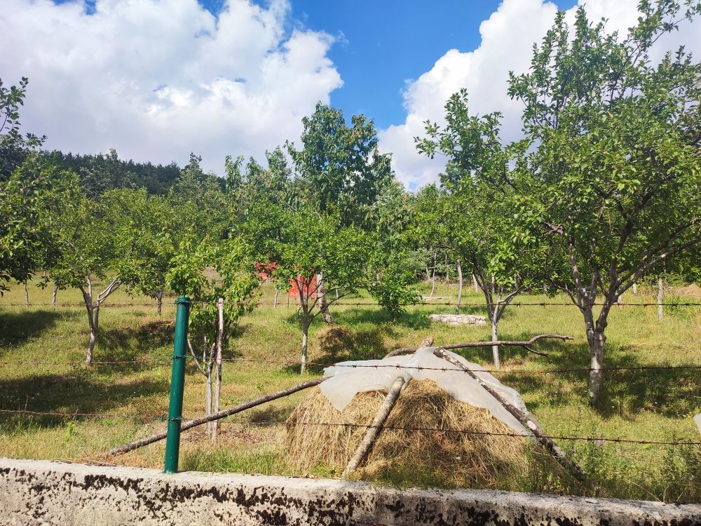 Поместье в Никшиче, Черногория, 360 м² - фото 6