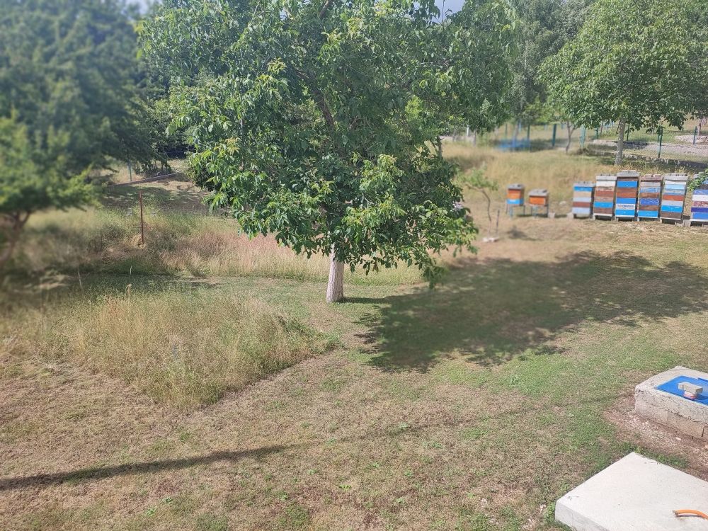 Поместье в Никшиче, Черногория, 360 м² - фото 10