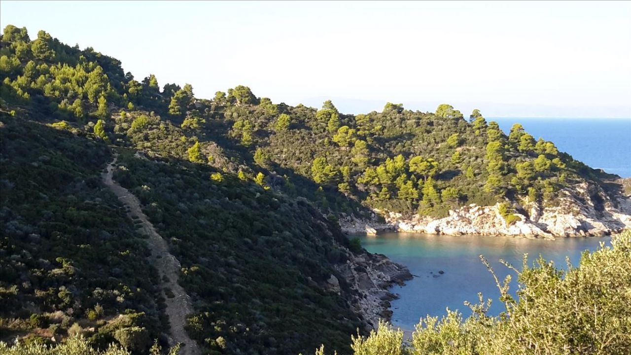 Земля в Ситонии, Греция, 12 000 м² - фото 3