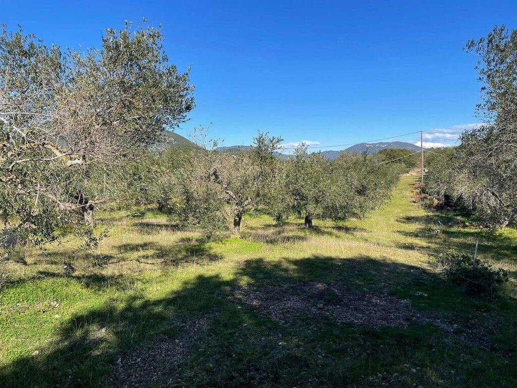 Земля на Корфу, Греция, 5 000 м² - фото 4