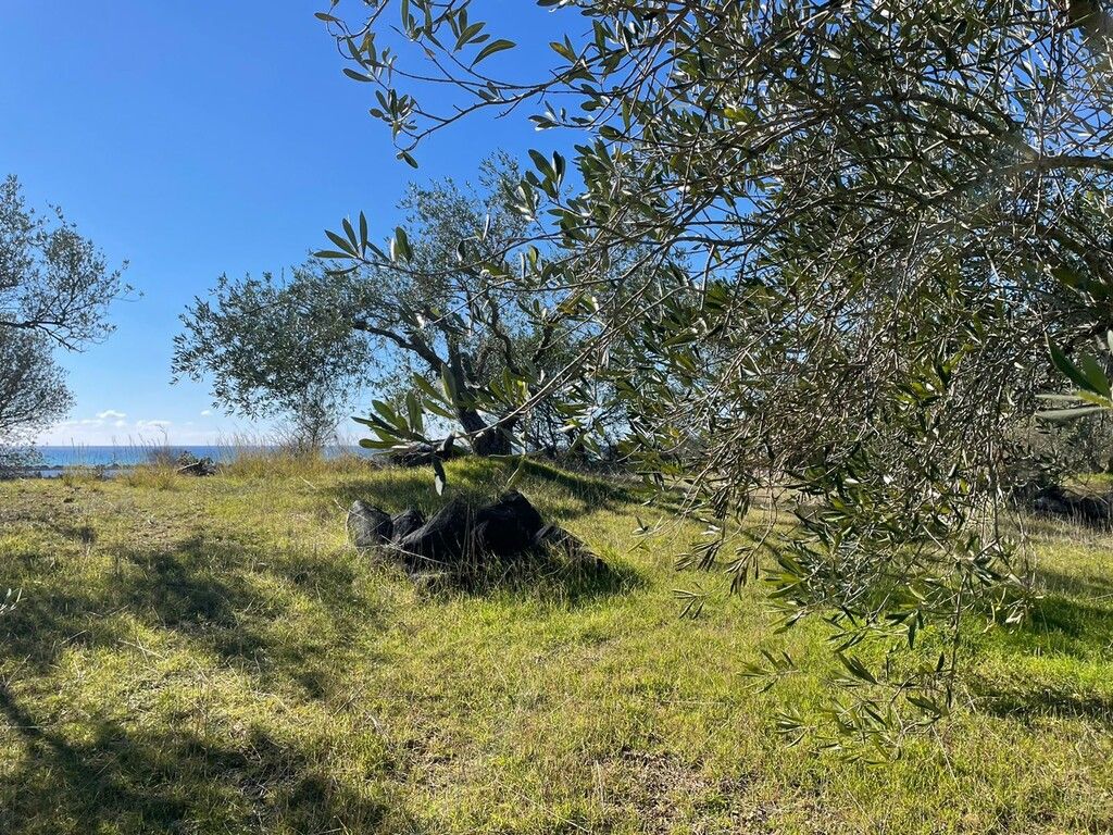 Земля на Корфу, Греция, 5 000 м² - фото 9