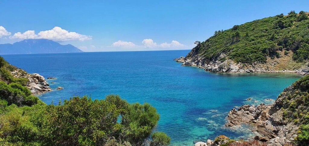 Земля в Ситонии, Греция, 12 000 м² - фото 10