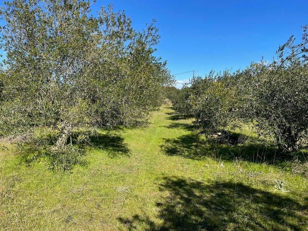 Земля на Корфу, Греция, 5 000 м² - фото 11