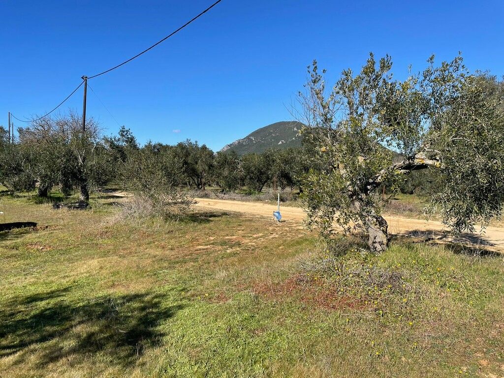 Земля на Корфу, Греция, 5 000 м² - фото 12