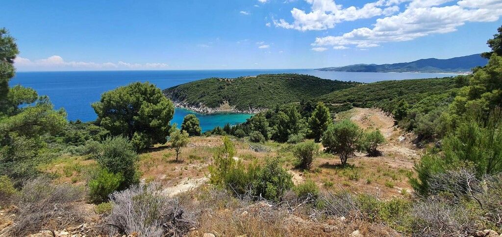 Земля в Ситонии, Греция, 12 000 м² - фото 14