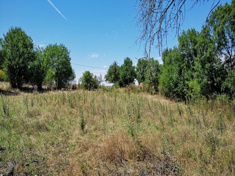 Дом в Зорнице, Болгария, 80 м² - фото 10