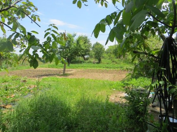 Дом в Момина-Церква, Болгария, 120 м² - фото 4