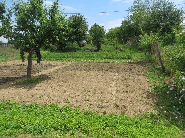 Дом в Момина-Церква, Болгария, 120 м² - фото 7