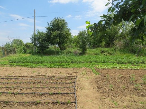 Дом в Момина-Церква, Болгария, 120 м² - фото 8