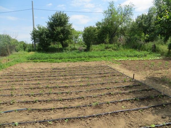 Дом в Момина-Церква, Болгария, 120 м² - фото 9