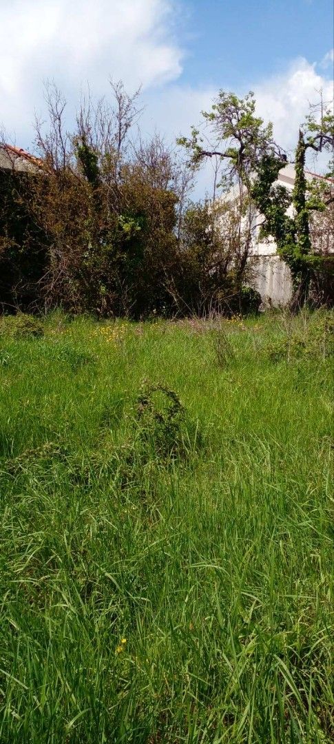 Земля в Баре, Черногория, 1 600 м² - фото 4