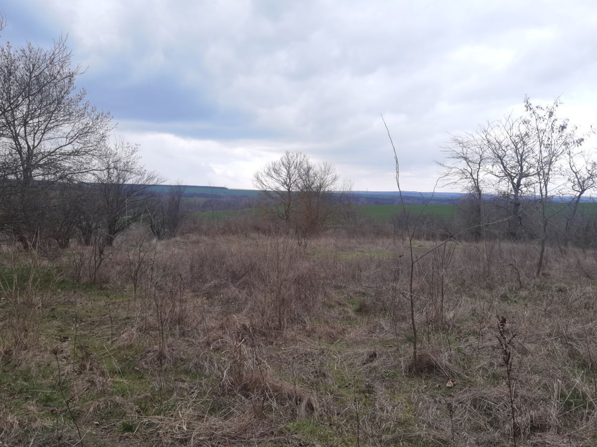 Дом в Войнике, Болгария, 100 м² - фото 7