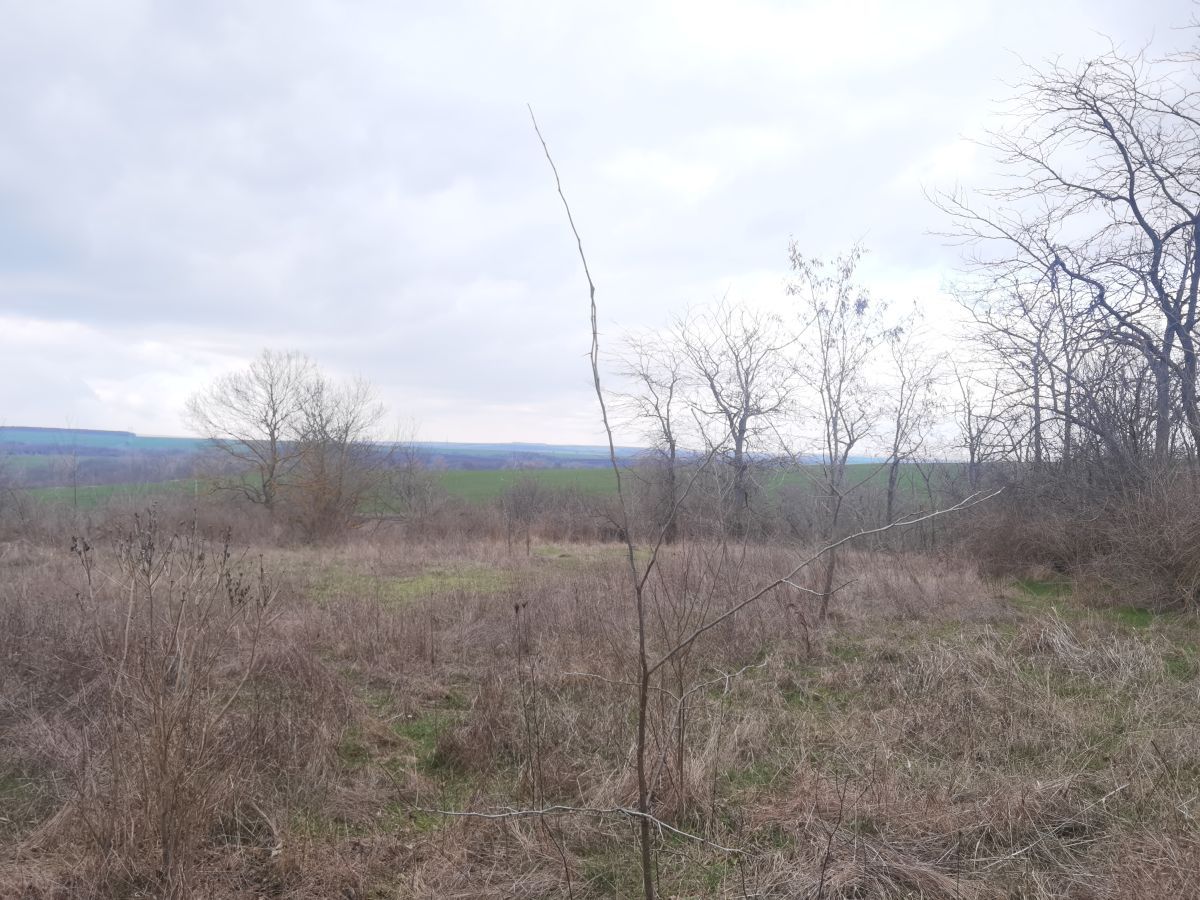 Дом в Войнике, Болгария, 100 м² - фото 11