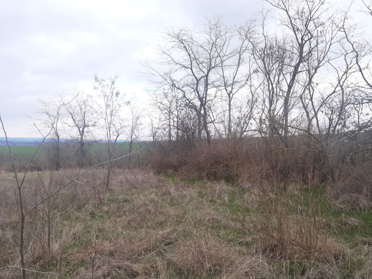 Дом в Войнике, Болгария, 100 м² - фото 12