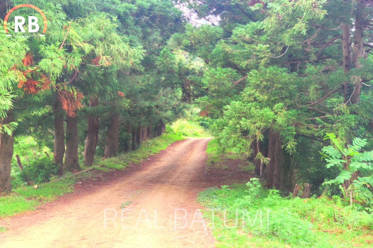 Дом в Батуми, Грузия, 220 м² - фото 13