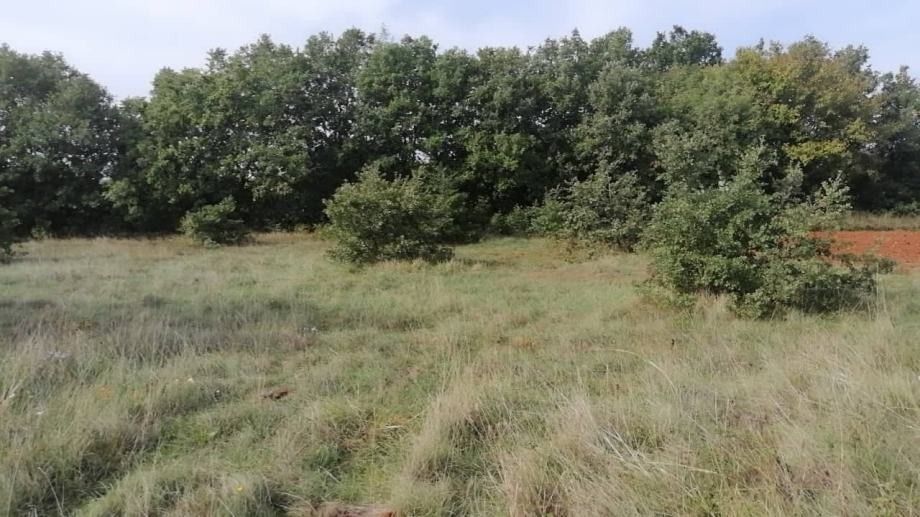Земля в Светвинченате, Хорватия, 35 000 м² - фото 1