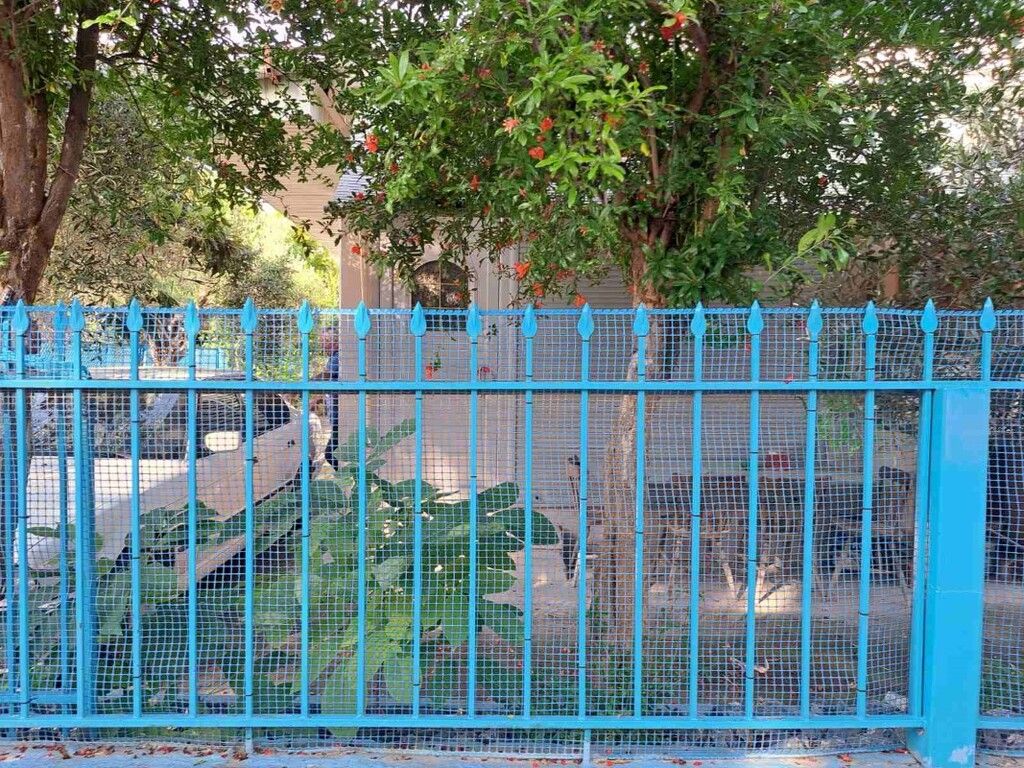 Дом в Салониках, Греция, 120 м² - фото 19