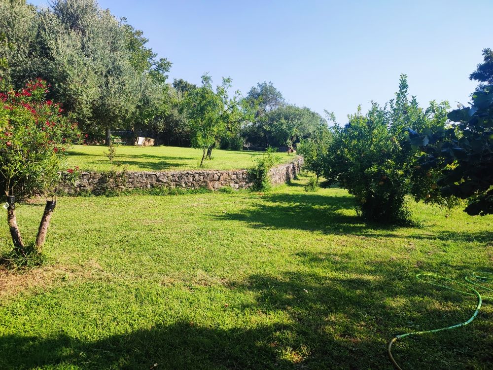 Дом в Подгорице, Черногория, 170 м² - фото 4