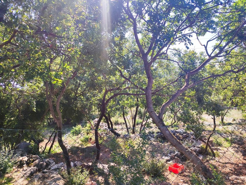 Земля в Подгорице, Черногория, 9 300 м² - фото 5