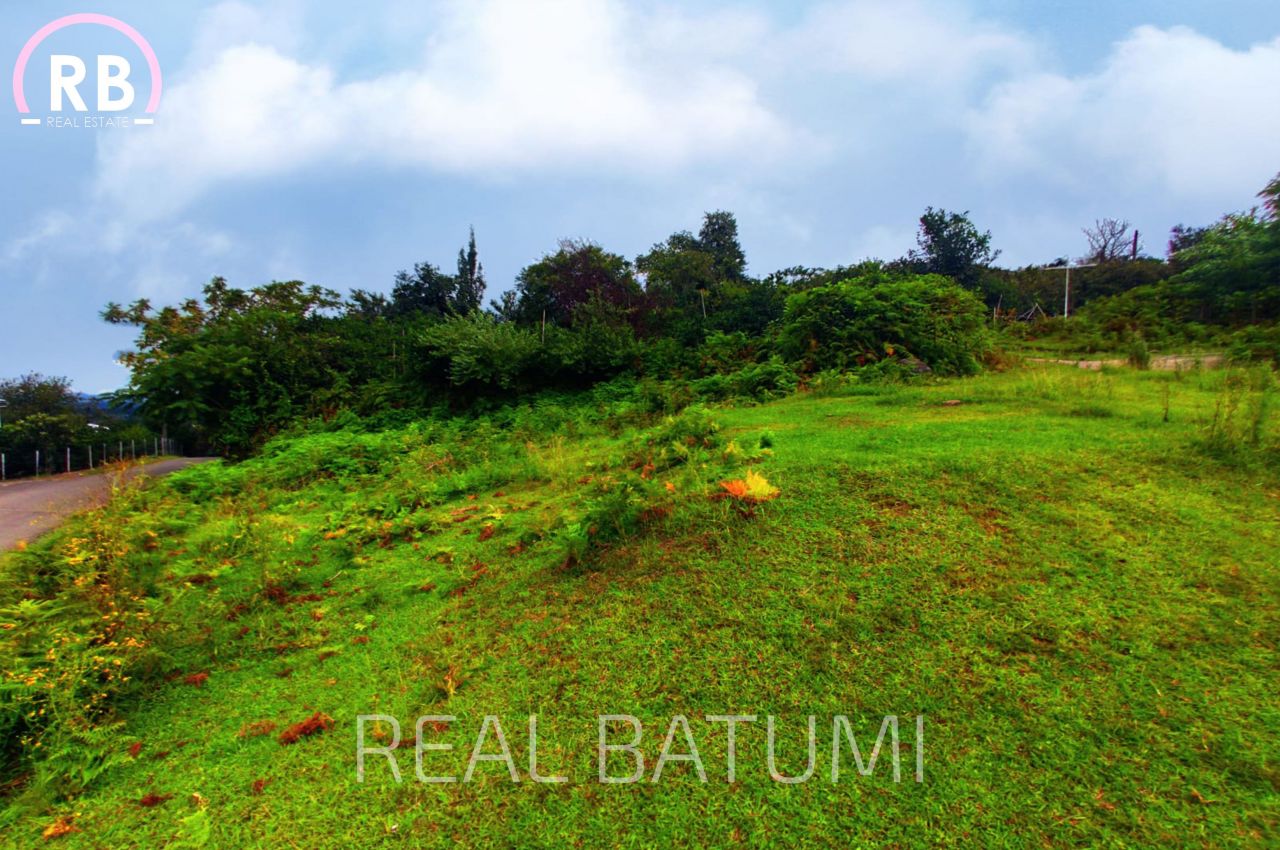 Земля в Батуми, Грузия, 451 м² - фото 3