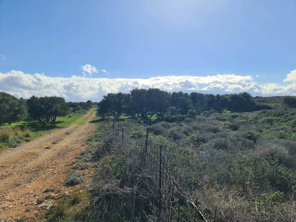 Земля в Ираклионе, Греция, 24 000 м² - фото 2