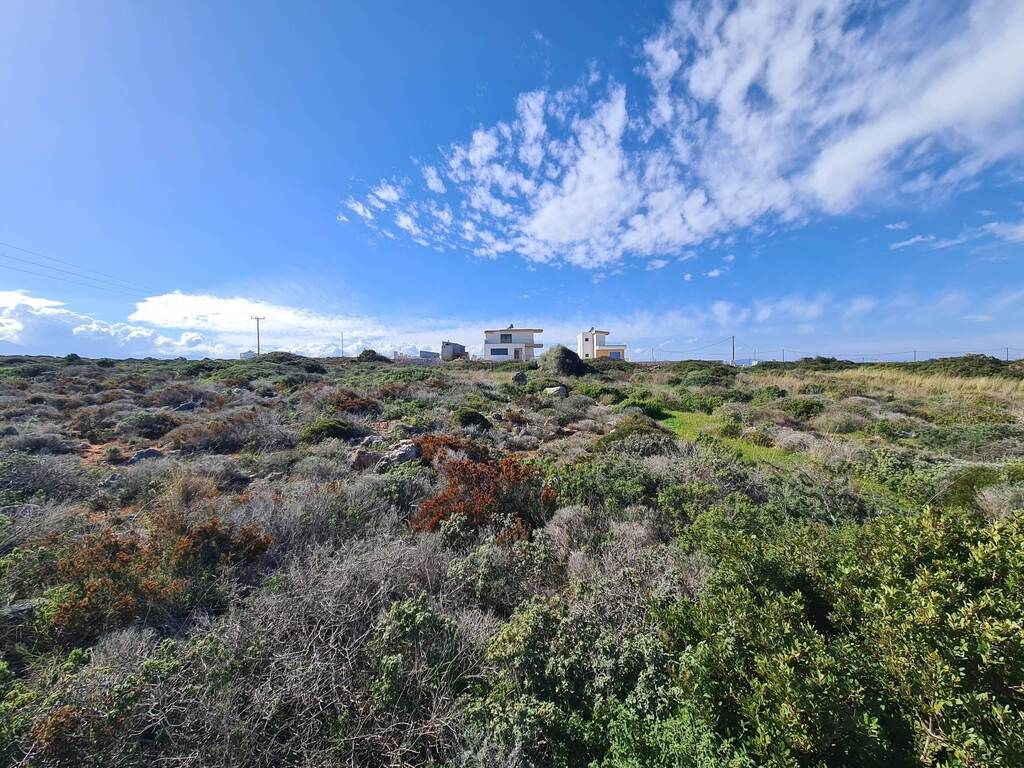 Земля в Ираклионе, Греция, 24 000 м² - фото 5