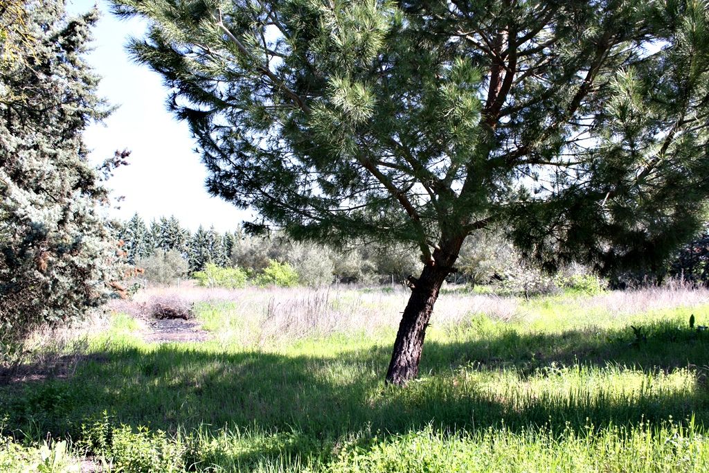 Вилла в Салониках, Греция, 320 м² - фото 4