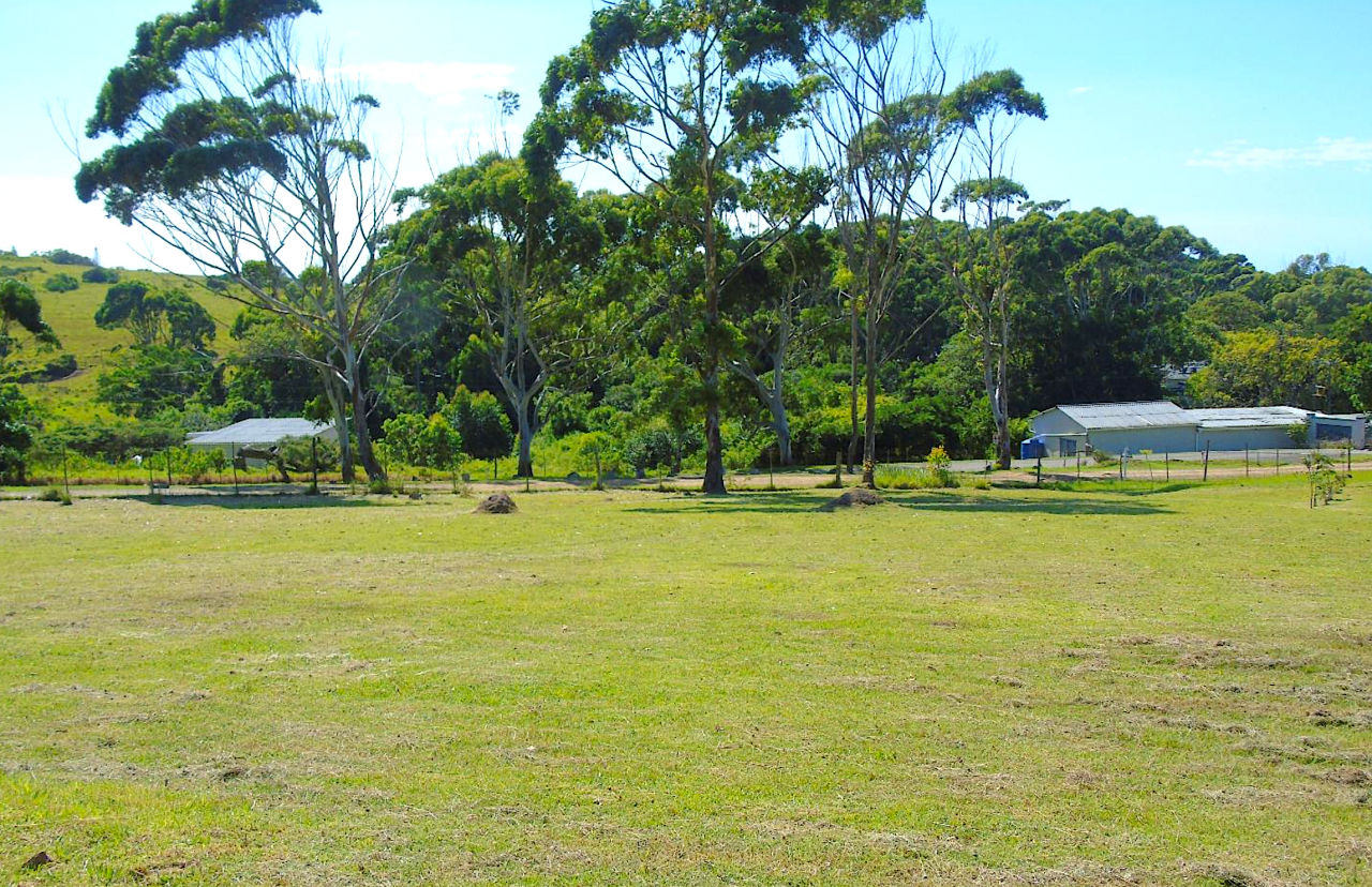 Земля Восточный Кейп, ЮАР, 1 438 м² - фото 2