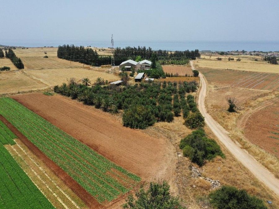 Земля в Пафосе, Кипр, 8 130 м2 - фото 1