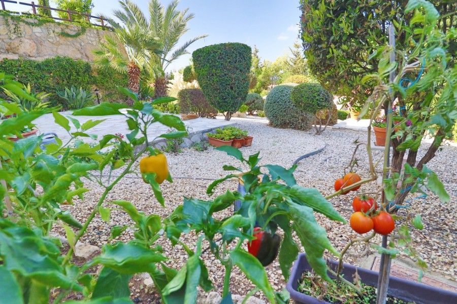 Вилла в Тале, Кипр, 178 м² - фото 11