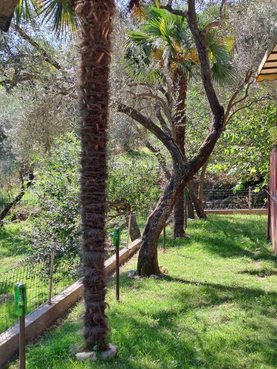 Дом в Прчани, Черногория, 120 м² - фото 10