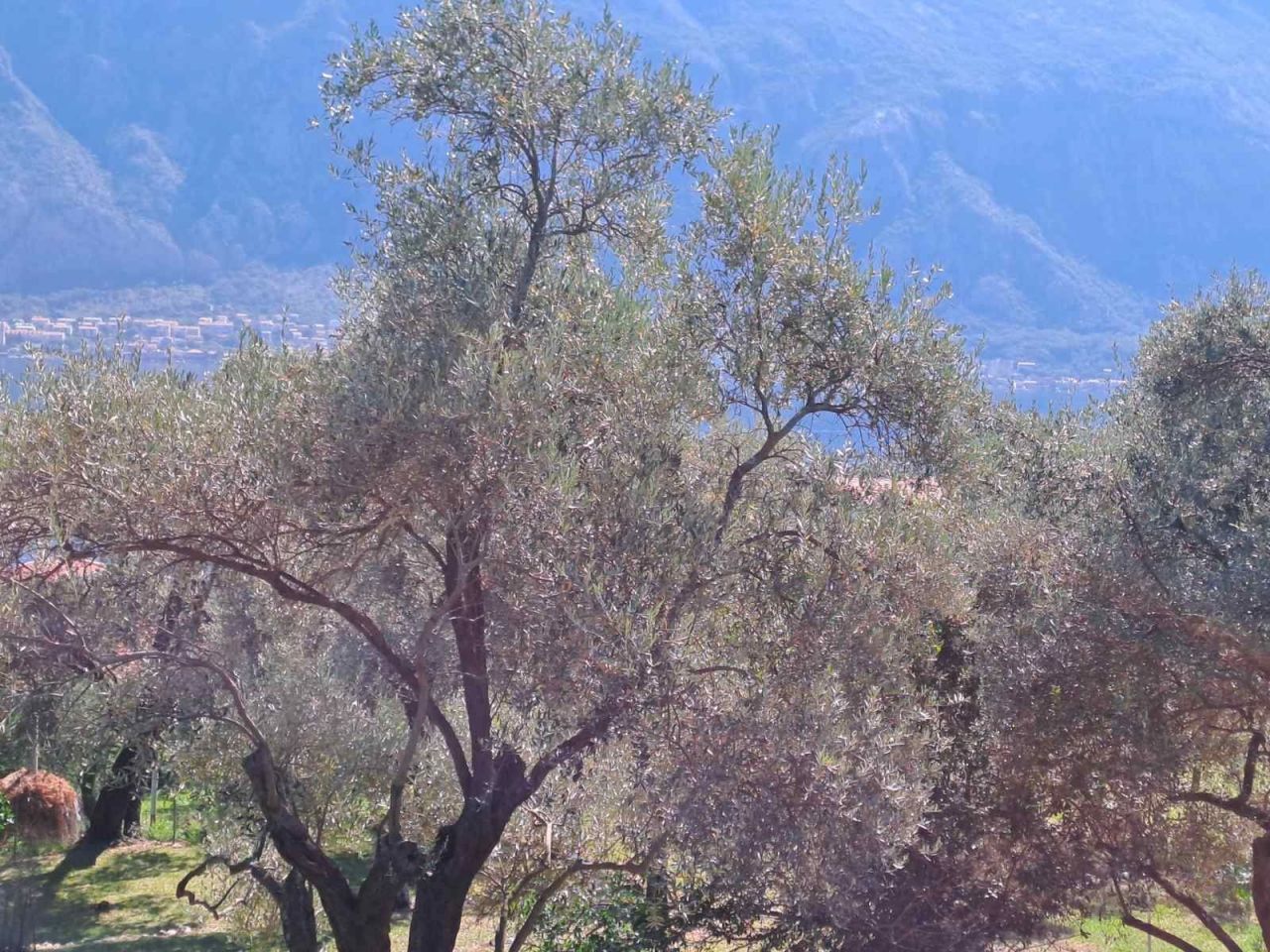 Дом в Прчани, Черногория, 120 м² - фото 16