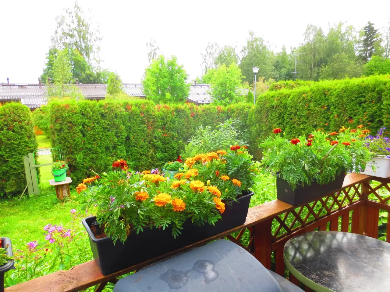 Квартира в Ювяскюля, Финляндия, 66 м² - фото 14