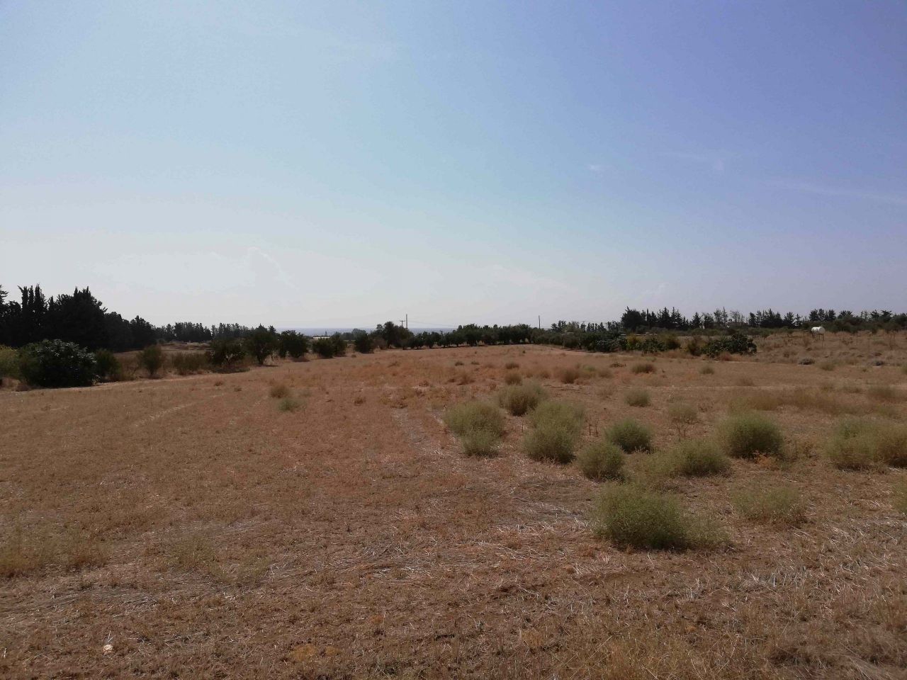 Земля в Пафосе, Кипр, 13 400 м² - фото 2