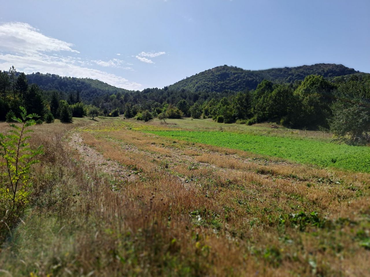 Земля в Грахово, Черногория, 30 000 м² - фото 3