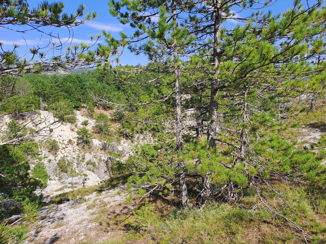 Земля в Грахово, Черногория, 30 000 м² - фото 10