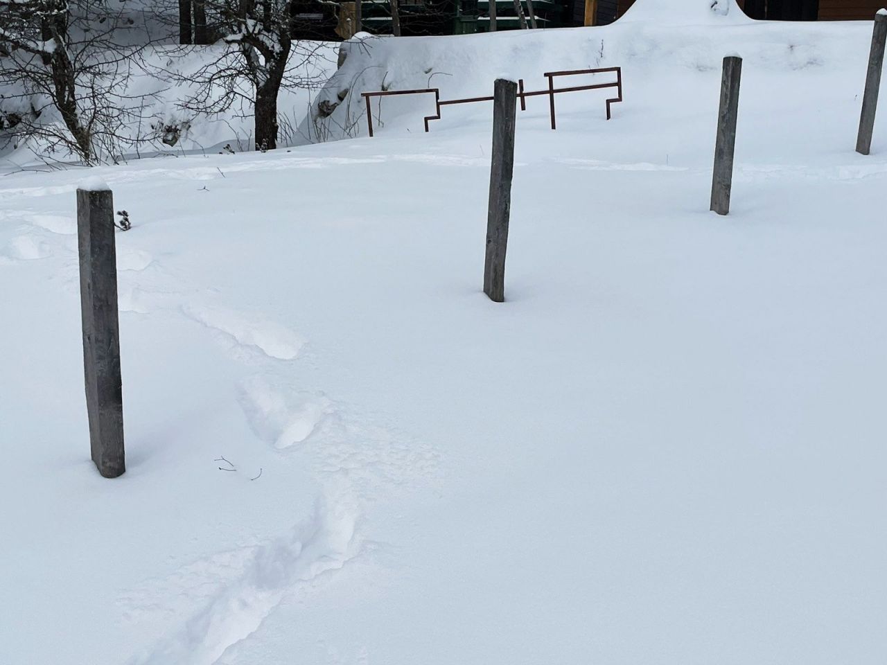 Бунгало в Жабляке, Черногория, 20 м² - фото 10