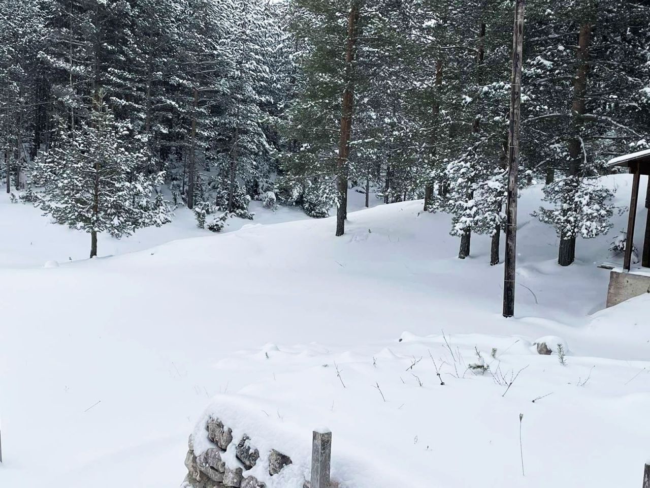 Бунгало в Жабляке, Черногория, 40 м² - фото 7