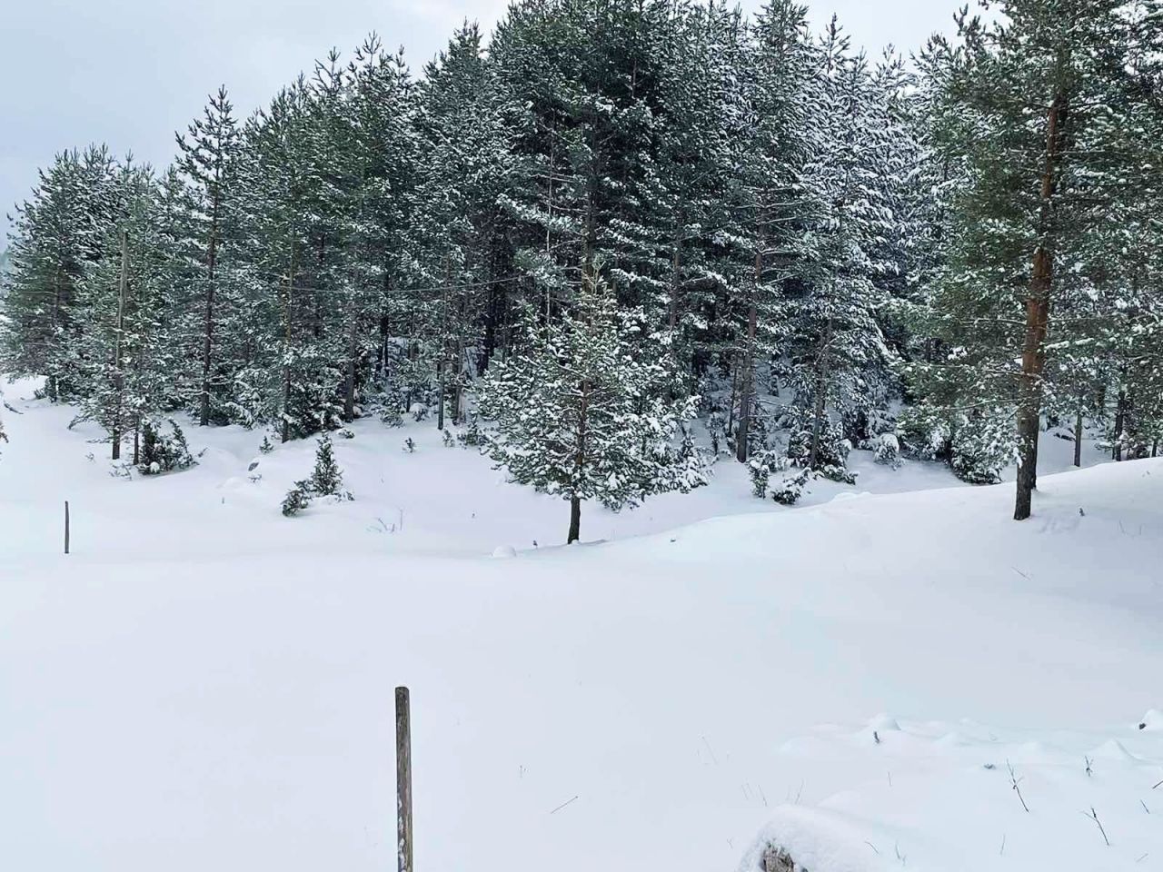 Бунгало в Жабляке, Черногория, 40 м² - фото 10