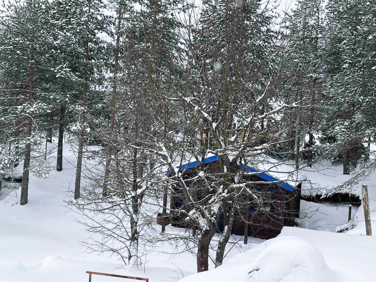 Бунгало в Жабляке, Черногория, 40 м² - фото 6
