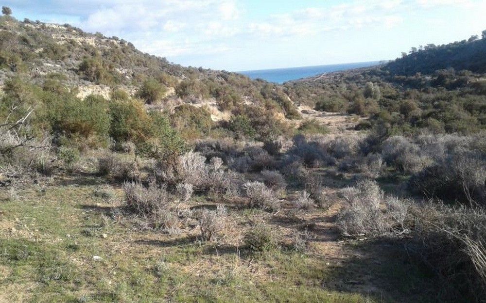 Земля в Лимасоле, Кипр, 18 785 м2 - фото 1