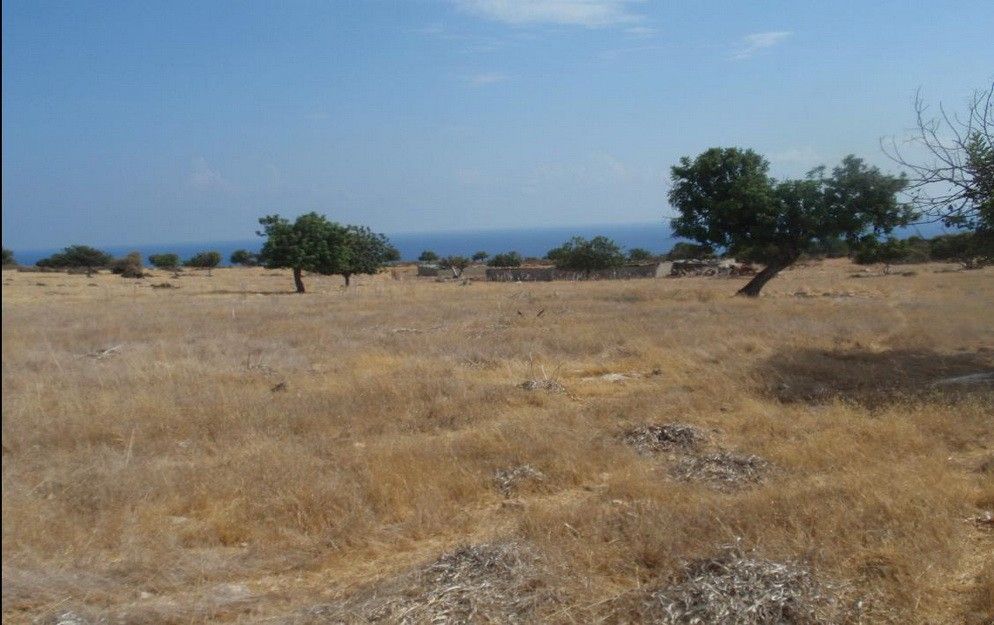 Земля в Лимасоле, Кипр, 12 041 м2 - фото 1