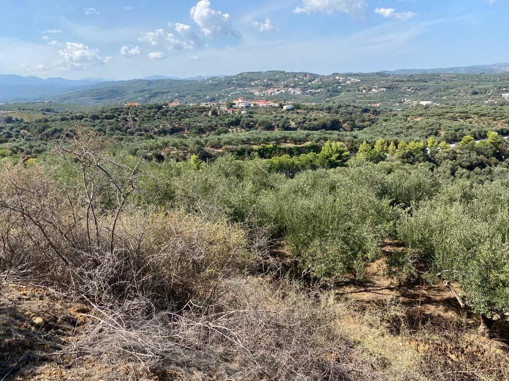 Земля в Ираклионе, Греция, 5 350 м² - фото 2