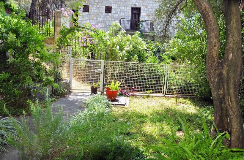 Отель, гостиница в Сутоморе, Черногория - фото 6