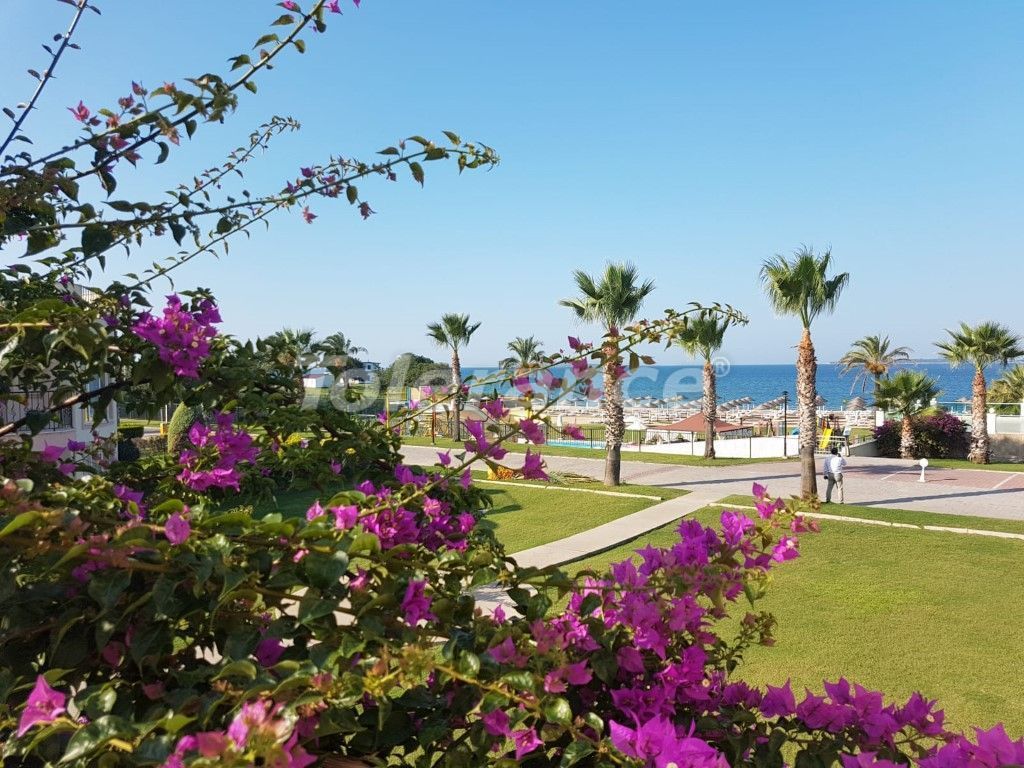 Апартаменты в Дидиме, Турция, 120 м² - фото 16