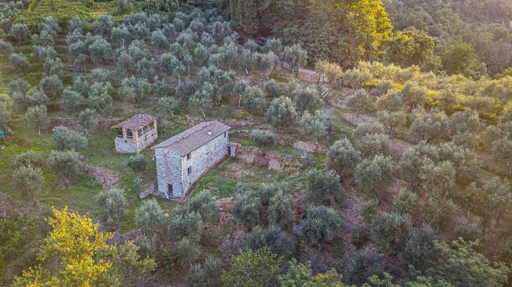 Поместье во Флоренции, Италия, 280 м² - фото 1