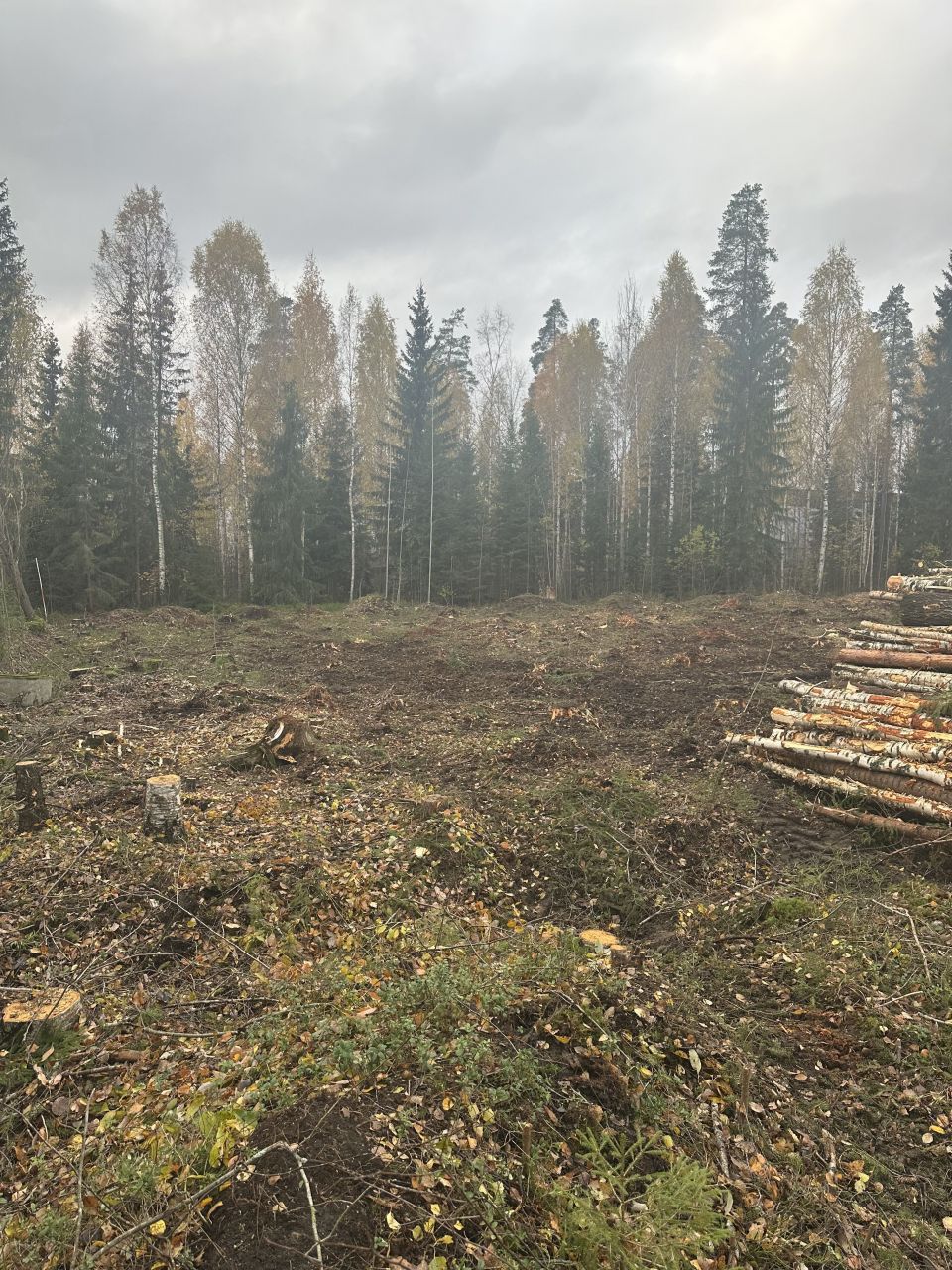 Инвестиционный проект в Ярвенпяа, Финляндия, 2 600 м² - фото 6